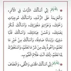 القنفذه