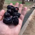 عجوة فاخرة _ كميات