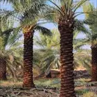 نقايل للبع من 4مالى 6متر الي له هوى ولاشف اتواصل جوال