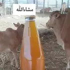 سمن