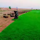 الخرج
