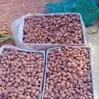 يوجد لدينا تمور اخلاص اشيقر فاخره لتواصل عبر