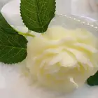 ورد جوري معطر باقه