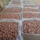 اجود انواع التمور الفاخره