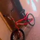 سيكل كوبرا ألوان عنابي مقاس 20 مايشيك من شي جنط امامي نجم