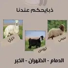 اضاحيكم_عندنا