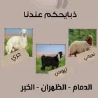 ذبايحكم عندنا