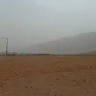 مزارع للايجار الموسمي شمال محايل عسير ترقش