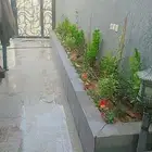 تنسيق حدائق