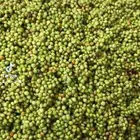 خضير الموسم