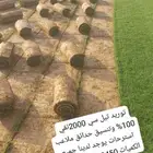 توريد تيل طبيعي