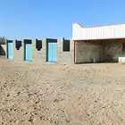 مربط العبية يعلن