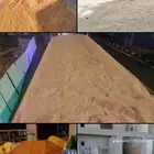 10ريال
