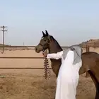 مهر شعبي