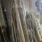 خيزران وقش الافريقي واعود البامبو