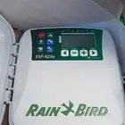 تركيب شبكات ري القصيم تنسيق حدائق