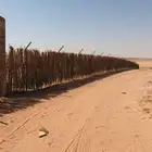 اسعار منسبه