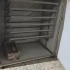 فقاسه 1056 بيضه