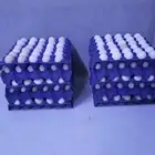بيض دجاج بلدي مخصب للفقاسات