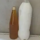 سمن بقر مضمون السعر مناسب لتواصل خاص
