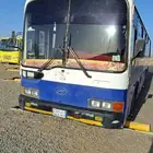 for sale AC bus 1999 model