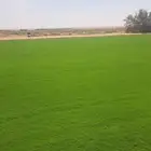 ثيل سي2000الخرج