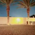 قص وترتيب الاشجار وتكريب النخيل وازالة الاشجار وازالة النخيل