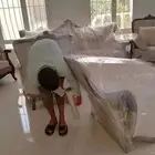 نقل عفش وتخزين