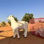 مجسم خروف للبيع على السوم