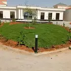 ثيل طبيعي فرنسي درجة أولى