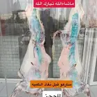 حاشي لباني بلدي