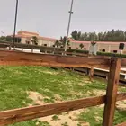 بادوك الخيل تجهيز اسطبلات مزارع