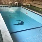 وايت ماء