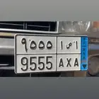 لوحة للبيع شاص