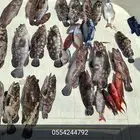 رحلات بحريه