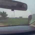 ابكار للبيع