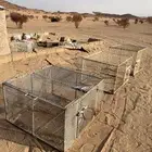 قفص