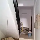 دھانات بويا