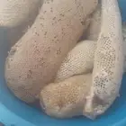 عسل بري جبلي حر ممتاز قطف اليوم