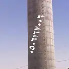 شغل حازانت ديرى