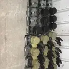 علب دركسون دوج
