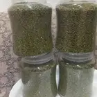 سنوت بلدي جديد قطفه السنة ذي