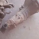 جير باص هيس 2005 جير مستبيشي ونيت 2004 ديزل