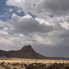 للبيع89
