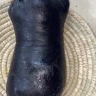 عكه سمن غنم معزا بري