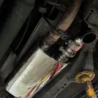 دبة بتصميم فوكس