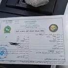 شيول للبيع