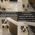 سكوتش منشكن فولد