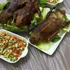 بط بكيني