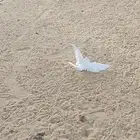 حمام قلاب خضاض